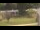 Webcam in Cold Spring Harbor, New York, 21.9 km