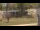Webcam in Cold Spring Harbor, New York, 274.5 km