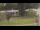 Webcam in Cold Spring Harbor, New York, 22.1 km entfernt