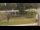 Webcam in Cold Spring Harbor, New York, 22.9 km