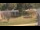 Webcam in Cold Spring Harbor, New York, 9 km
