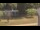 Webcam in Cold Spring Harbor, New York, 8.6 mi away
