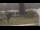Webcam in Cold Spring Harbor, New York, 21.9 km