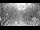 Webcam in Miami, Florida, 37.4 km