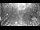 Webcam in Miami, Florida, 8 mi away