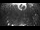 Webcam in Miami, Florida, 146.9 km