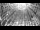 Webcam in Miami, Florida, 23.2 mi away