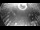 Webcam in Miami, Florida, 29.5 km