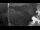 Webcam in Miami, Florida, 519.6 km entfernt