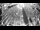 Webcam in Miami, Florida, 29.8 km
