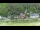 Webcam in Bad Schandau, 0 km