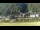 Webcam in Bad Schandau, 15.6 km