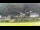 Webcam in Bad Schandau, 0.5 mi away