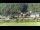 Webcam in Bad Schandau, 1.3 km