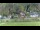 Webcam in Bad Schandau, 6.7 km