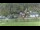 Webcam in Bad Schandau, 1.3 km