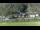 Webcam in Bad Schandau, 0 km entfernt