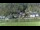 Webcam in Bad Schandau, 0 km entfernt