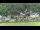 Webcam in Bad Schandau, 5.6 km