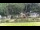 Webcam in Bad Schandau, 4.8 km