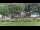 Webcam in Bad Schandau, 2.7 km
