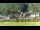 Webcam in Bad Schandau, 5.6 km
