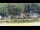 Webcam in Bad Schandau, 6.4 km