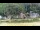 Webcam in Bad Schandau, 7.2 km