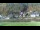 Webcam in Bad Schandau, 4.8 km