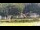 Webcam in Bad Schandau, 2.7 km