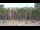 Webcam in Barcelona, 13.5 mi away