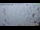 Webcam in Garmisch-Partenkirchen, 4.8 km