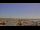 Webcam in Tampa, Florida, 22.4 mi away