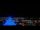 Webcam in Tampa, Florida, 37.7 mi away