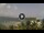 Webcam in Bahía de Las Calderas, 228.2 km