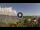 Webcam in Bahía de Las Calderas, 632.7 km