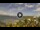 Webcam in Bahía de Las Calderas, 171.3 km entfernt