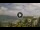 Webcam in Las Calderas Bay, 66.4 mi away