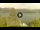 Webcam in Tavernola Bergamasca, 4.6 km entfernt