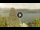 Webcam in Tavernola Bergamasca, 21.3 km