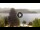 Webcam in Tavernola Bergamasca, 4.9 km
