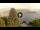 Webcam in Tavernola Bergamasca, 4 mi away