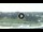 Webcam in Padova, 3.4 mi away