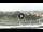 Webcam in Padova, 2.5 mi away