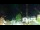 Webcam in Strobl, 9.5 km entfernt