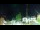 Webcam in Strobl, 3.3 km entfernt
