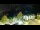 Webcam in Strobl, 9.9 km entfernt