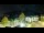Webcam in Strobl, 1.3 mi away