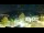 Webcam in Strobl, 0.1 mi away