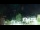 Webcam in Strobl, 5.5 mi away